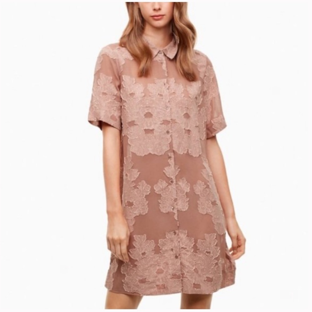 Aritzia Wilfred Hemistiche Dress